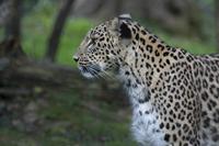 Cjp_2011_08_02_163333 (1).jpg